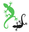Lizard