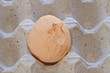 Photo: egg egg