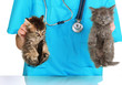 Veterinarian examining kittens isolated on white