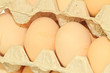 Photo: egg egg