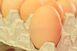 Photo: egg egg