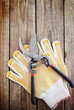 Gardening gloves and secateurs