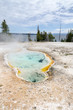 geyser basin nello Yellowstone National Park  in Wyoming