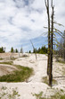 geyser basin nello Yellowstone National Park  in Wyoming
