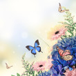 Bouquet from blue hydrangeas and  butterfly, a flower background