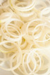 Onion rings on white background