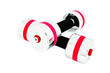 Two glossy dumbbell