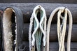 Details of diversity used horse reins