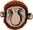 Gnome Close Up