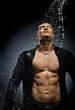 muscular sexy guy