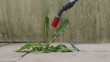 Weed Killer