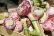 Frischer Knoblauch