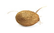 Coconut.