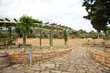 Stone outdoor terrace with wooden pergola and plants