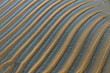Wet sand.
