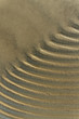 Wet sand.