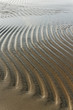 Wet sand.