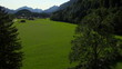 Aerial view of rural meadow, solitary trees and alpine village