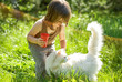 Foto: Kid playing with a cat Kid playing with a cat