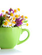 Beautiful wild flowers and mint in cup, isolated on white