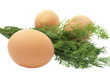 Eggs and dill