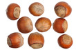 Hazelnuts, isolated