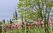 Springtime Centre Block