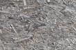 Natural old gray weathered veneer plywood