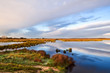 cloudscape over swamp at sunrise