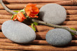 River's stones with a sprig of flowers.