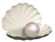 pearl on a white background