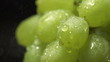 bunch of green grapes on a black background with water drops