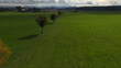 aerial view of meadow with row of trees in autumn
