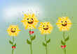 lachende sonnenblumen