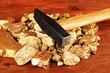 Golden nuggets with hummer on wooden background