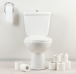 White Toilet Bowl With Toilet ...