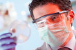 Scientist observing petri dish.