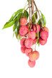 Isolated fresh lychees fruit 