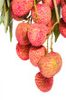 Isolated fresh lychees fruit