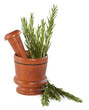 Fresh rosemary herb in wooden mortar with pestle