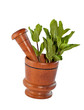 Fresh mint herb in wooden mortar with pestle