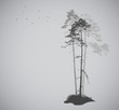 air landscape with silhouettes of pine trees and a flock of bird
