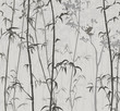 Panda in the Bamboo Forest 3