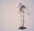 air landscape with silhouettes of pine trees and a flock of bird