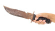 Knife in a hand