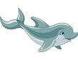 Swimming Dolphin