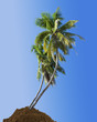 Foto: concept environnement, écologie, protection nature concept environnement, écologie, protection nature