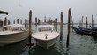 Venice Italy spring video 1080p