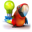 Fun parrot