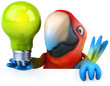 Fun parrot